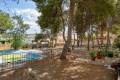 Sale - Villa - Orihuela - Los Balcones