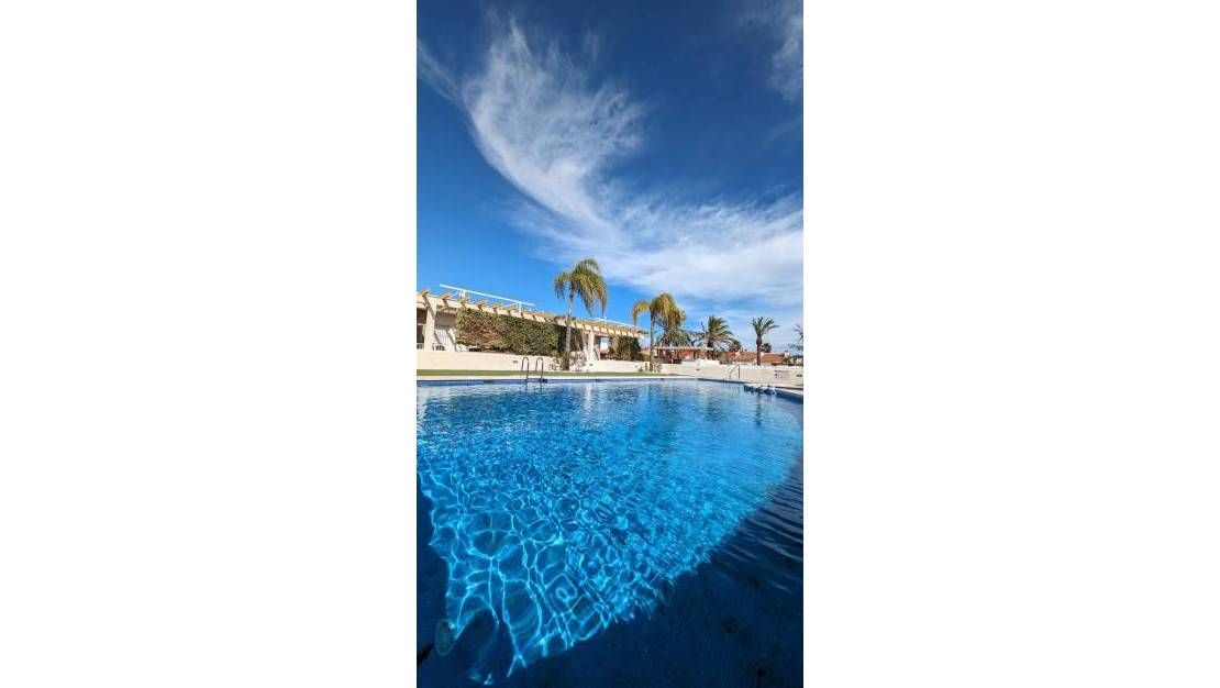 Sale - Villa - Orihuela - Mil Palmeras