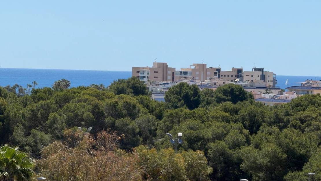 Sale - Villa - Orihuela - Mil Palmeras