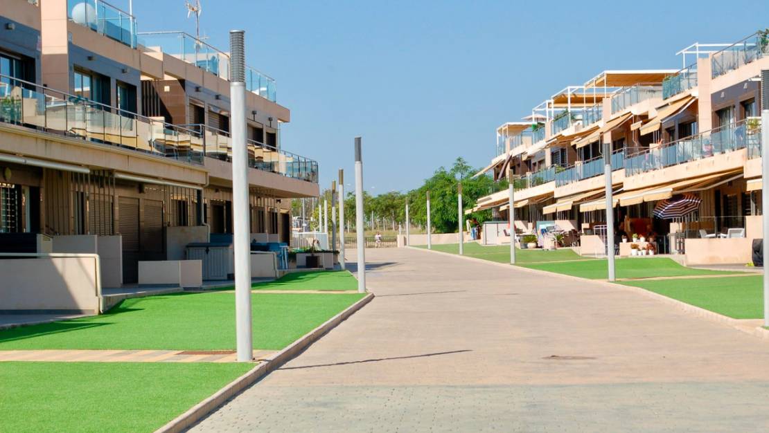 Sale - Villa - Orihuela - Mil Palmeras