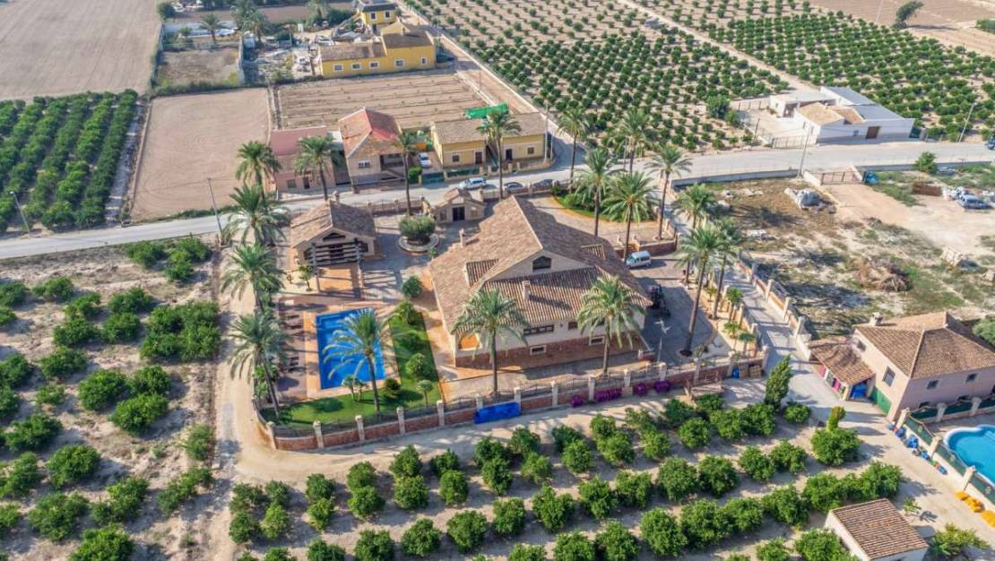 Sale - Villa - Orihuela - Molins