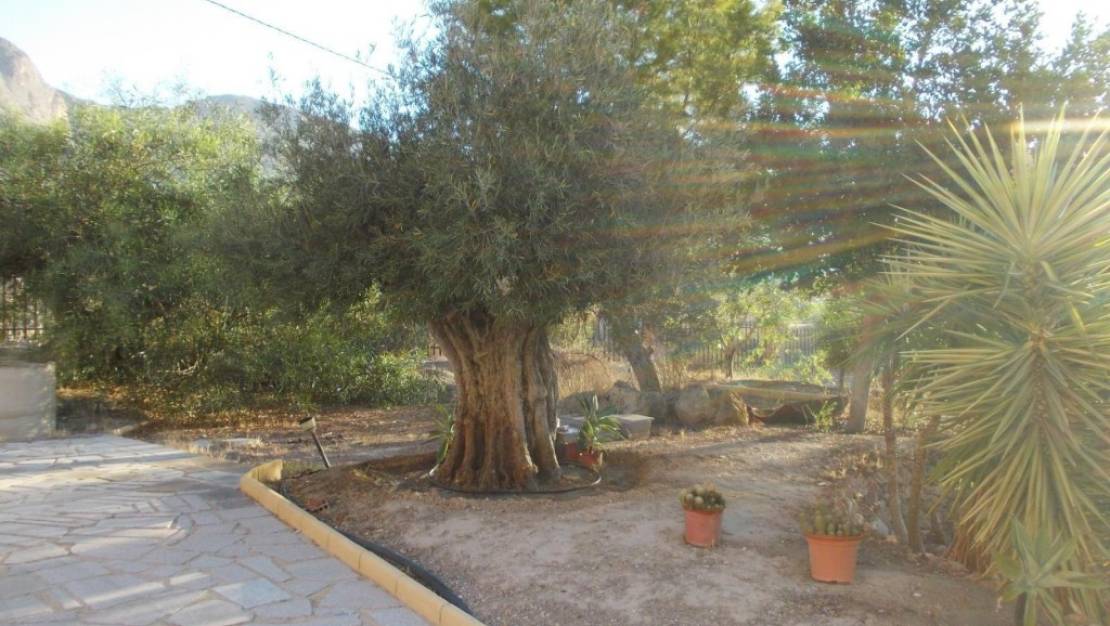 Sale - Villa - Orihuela - Orihuela Centro