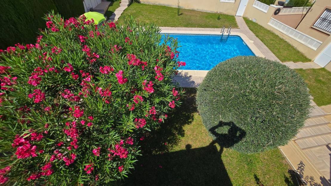 Sale - Villa - Orihuela - Orihuela Centro