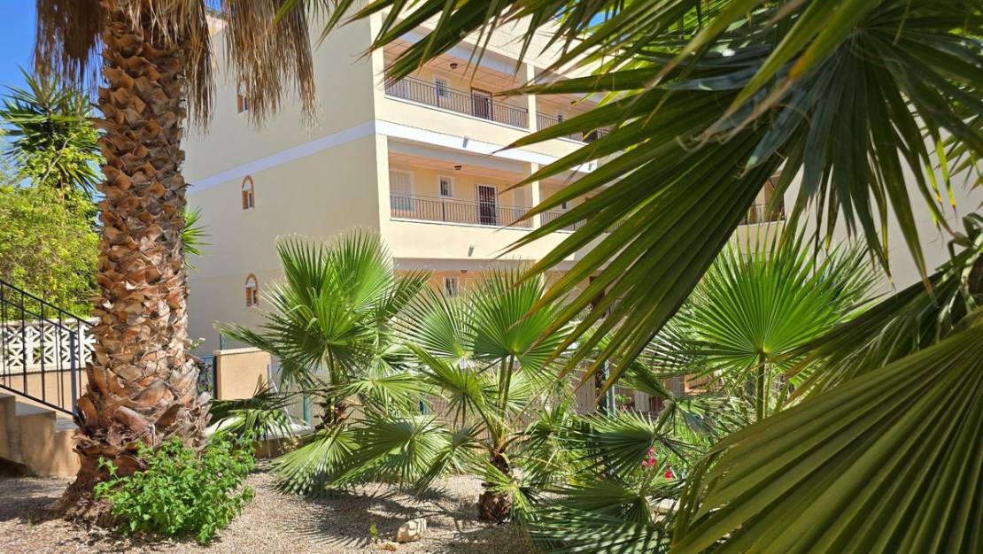 Sale - Villa - Orihuela - Orihuela Centro