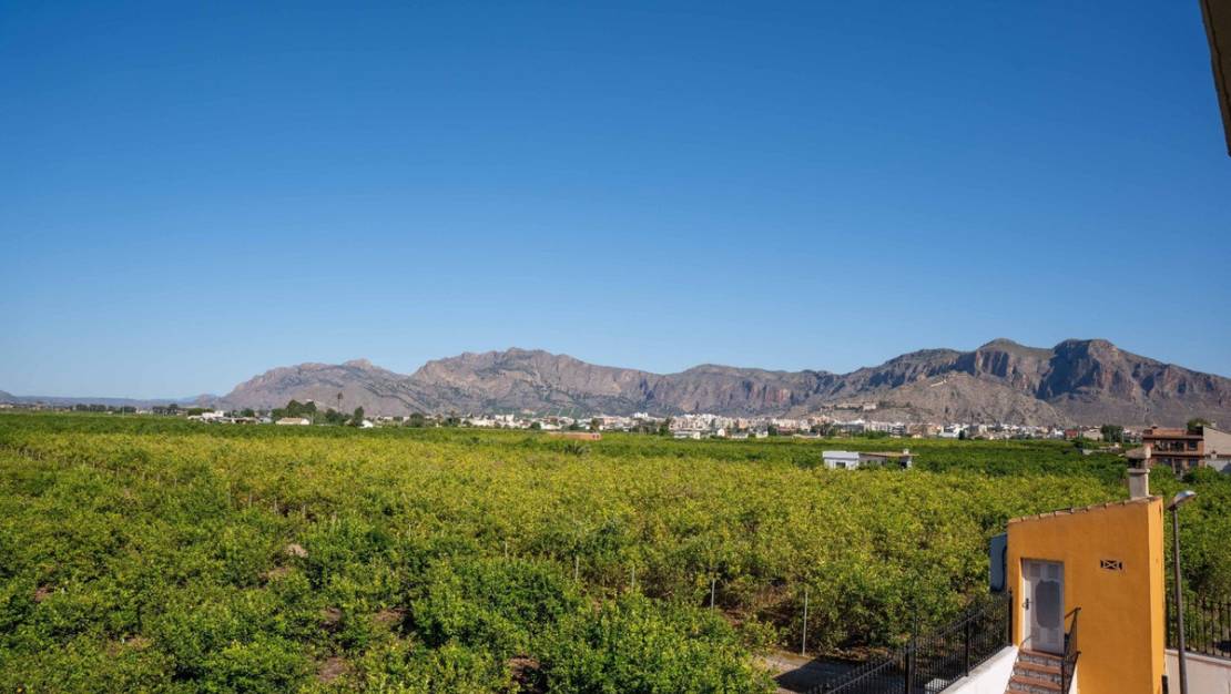 Sale - Villa - Orihuela - Orihuela Centro