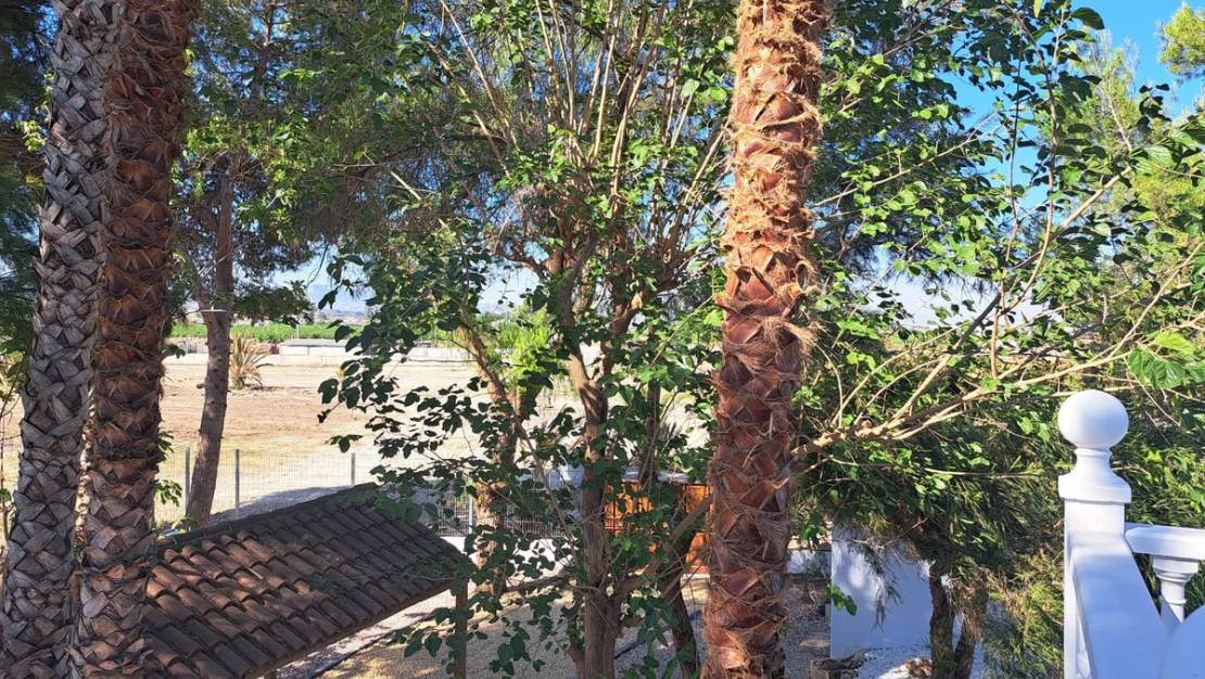 Sale - Villa - Orihuela - Orihuela Centro