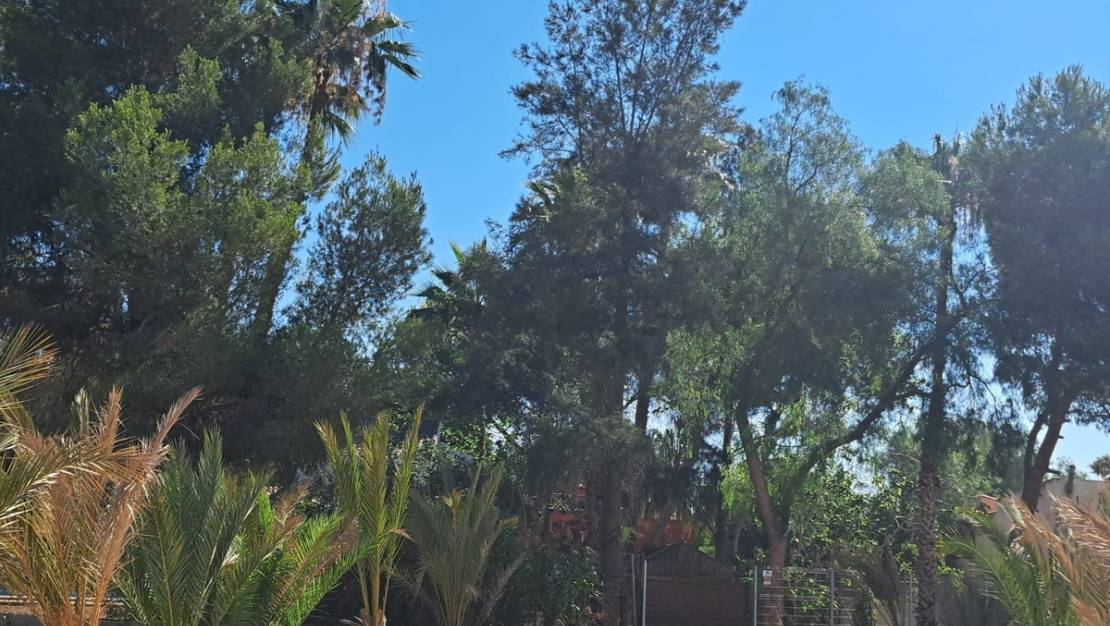 Sale - Villa - Orihuela - Orihuela Centro