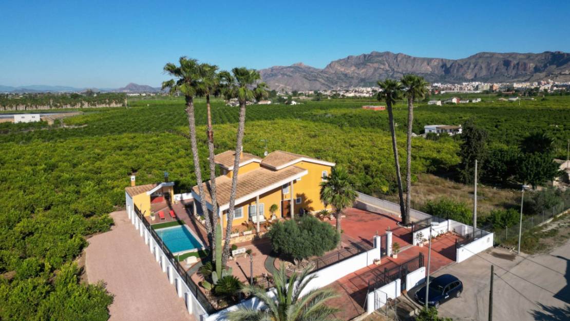 Sale - Villa - Orihuela - Orihuela Centro
