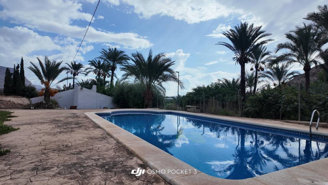 Sale - Villa - Orihuela - Orihuela Centro