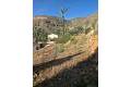 Sale - Villa - Orihuela - Orihuela Centro