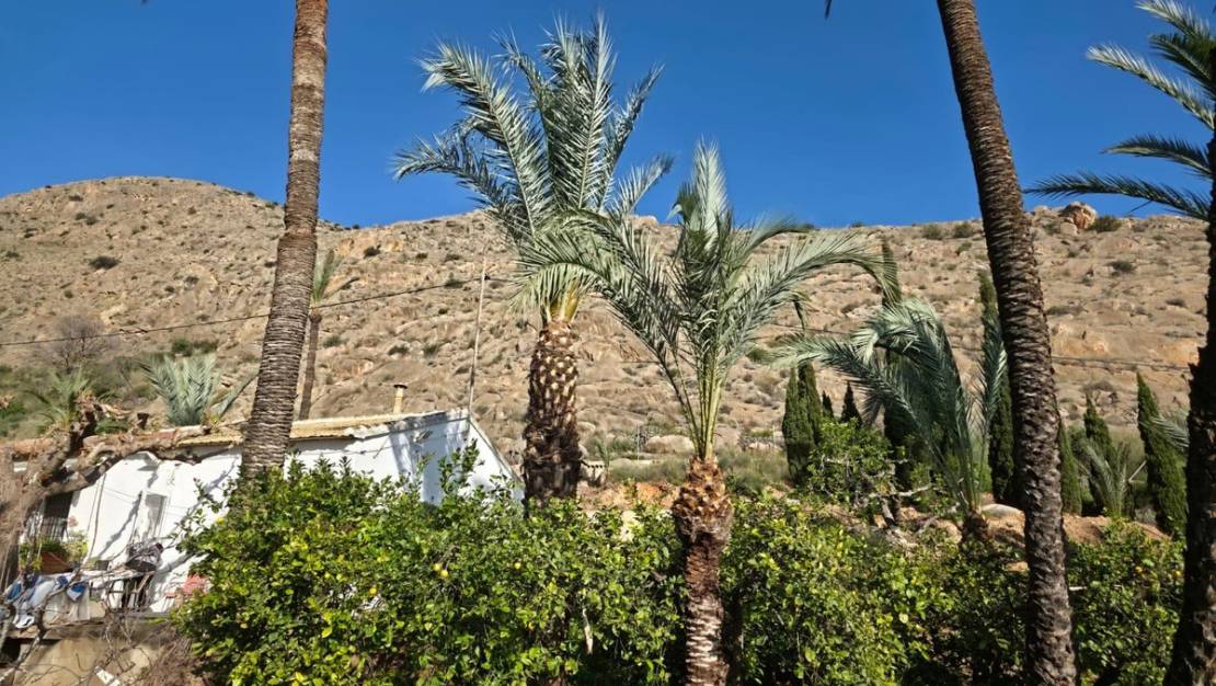 Sale - Villa - Orihuela - Orihuela Centro