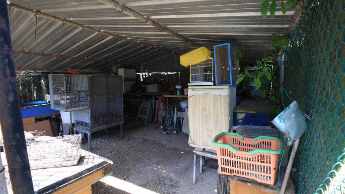 Sale - Villa - Orihuela - Orihuela Costa