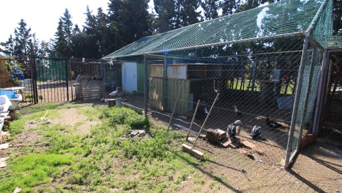 Sale - Villa - Orihuela - Orihuela Costa