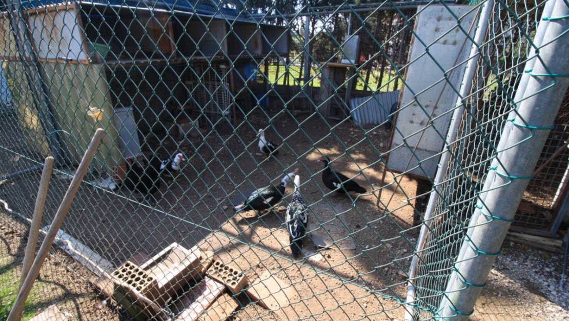 Sale - Villa - Orihuela - Orihuela Costa