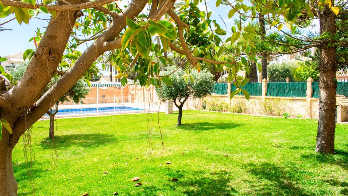 Sale - Villa - Orihuela - Orihuela Costa