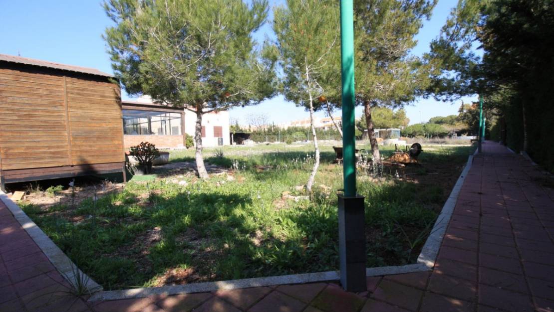 Sale - Villa - Orihuela - Orihuela Costa