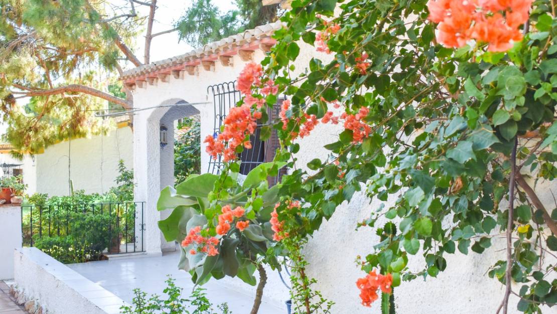 Sale - Villa - Orihuela - Punta Prima