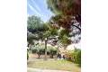 Sale - Villa - Orihuela - Punta Prima