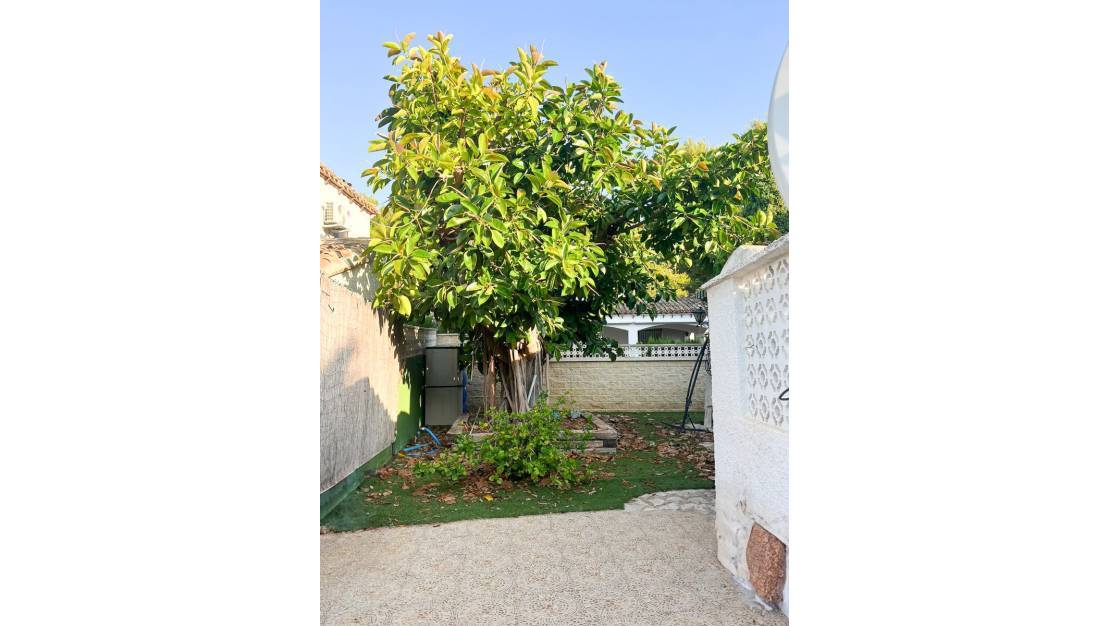 Sale - Villa - Orihuela - Punta Prima