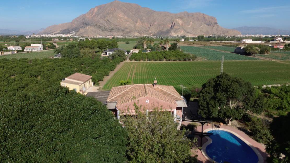 Sale - Villa - Orihuela - San Bartolomé