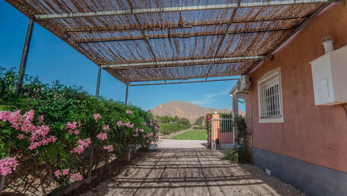 Sale - Villa - Orihuela - San Bartolomé