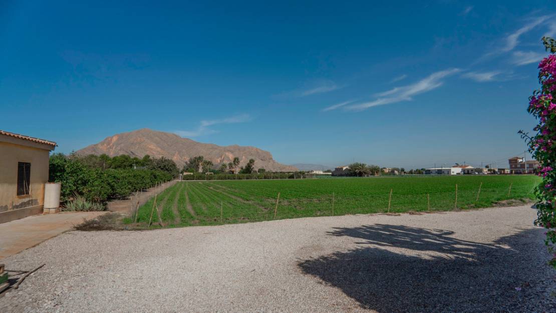 Sale - Villa - Orihuela - San Bartolomé