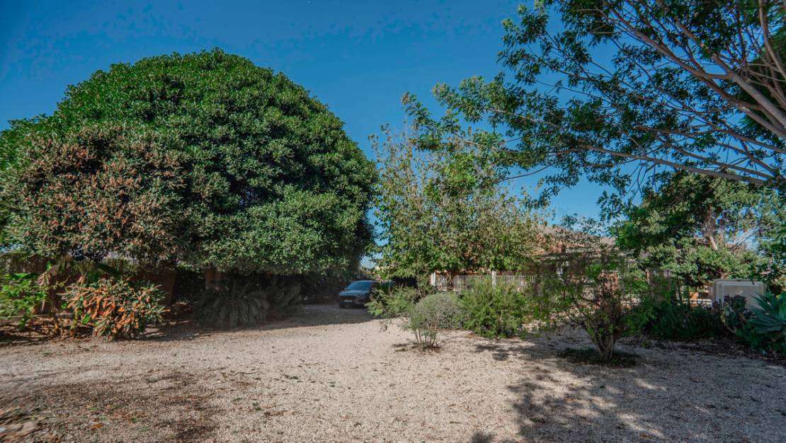 Sale - Villa - Orihuela - San Bartolomé