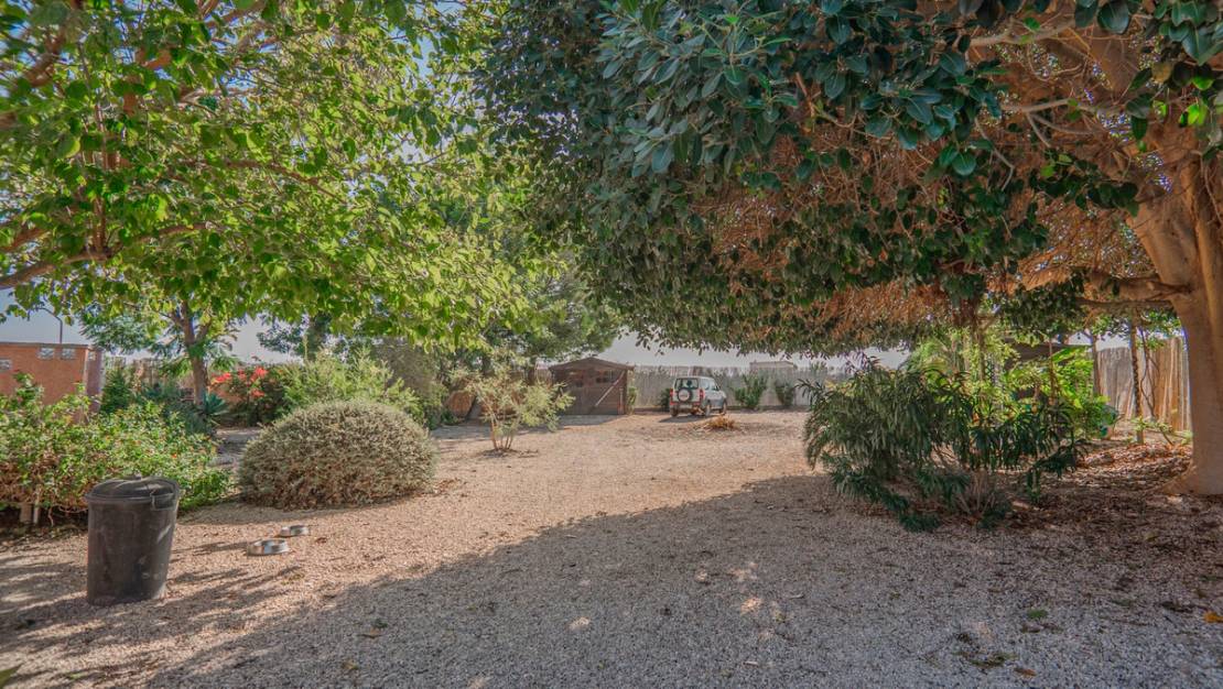 Sale - Villa - Orihuela - San Bartolomé