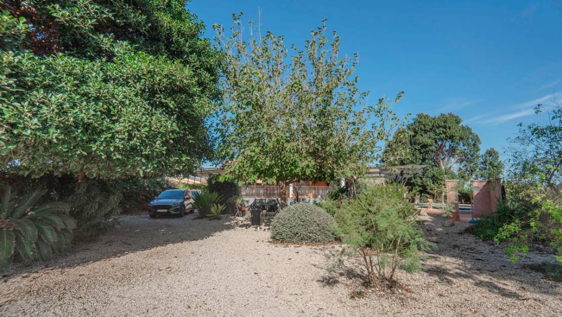 Sale - Villa - Orihuela - San Bartolomé