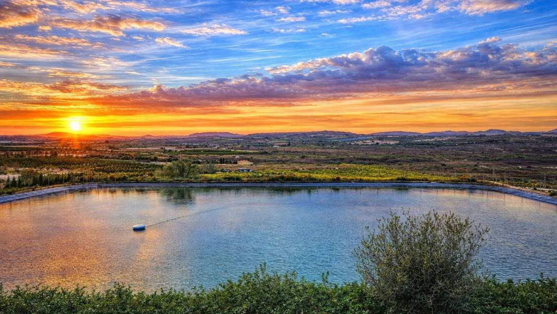 Sale - Villa - Orihuela - Torremendo