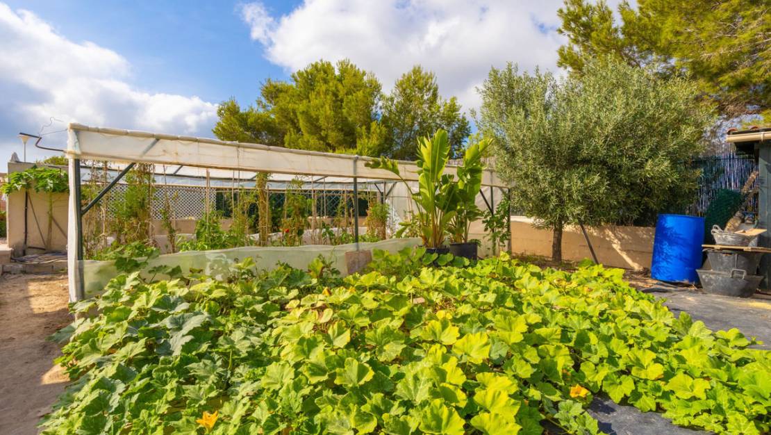 Sale - Villa - Orihuela - Villamartin