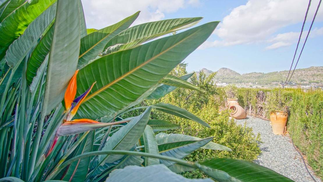 Sale - Villa - Pedreguer - Pedreguer Centro