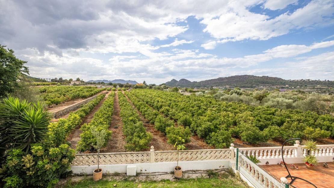 Sale - Villa - Pedreguer - Pedreguer Centro