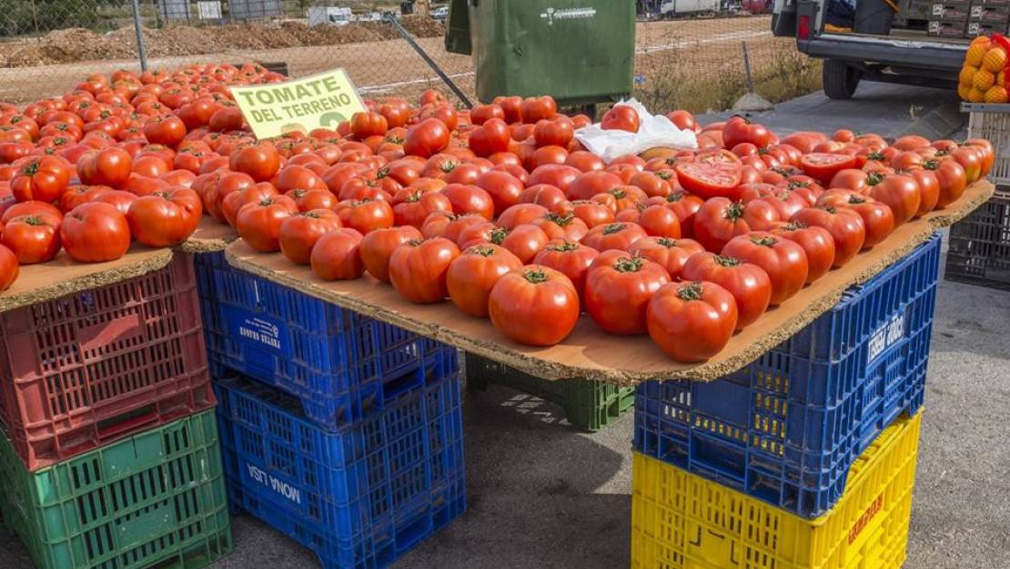 Sale - Villa - Pedreguer - Pedreguer Centro