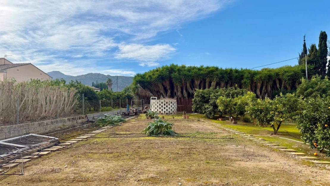 Sale - Villa - Pedreguer - Pedreguer Centro