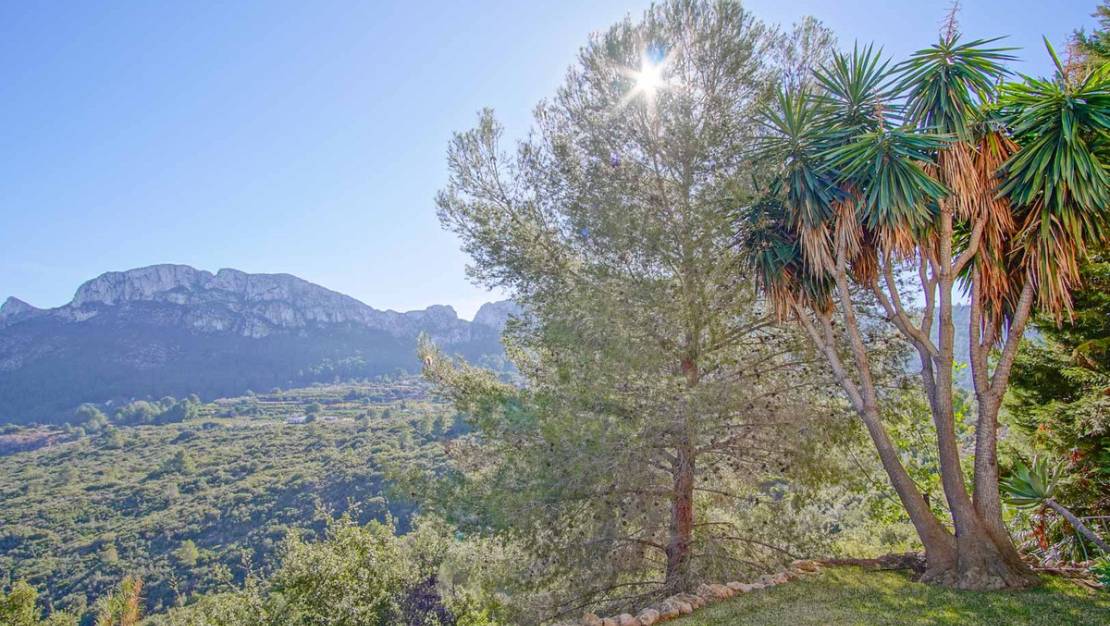 Sale - Villa - Pego - Monte Pego