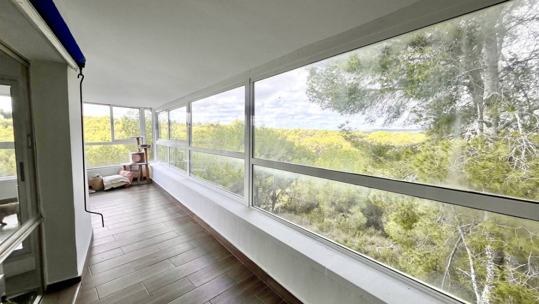 Sale - Villa - Pilar de la Horadada - Pinar de Campoverde