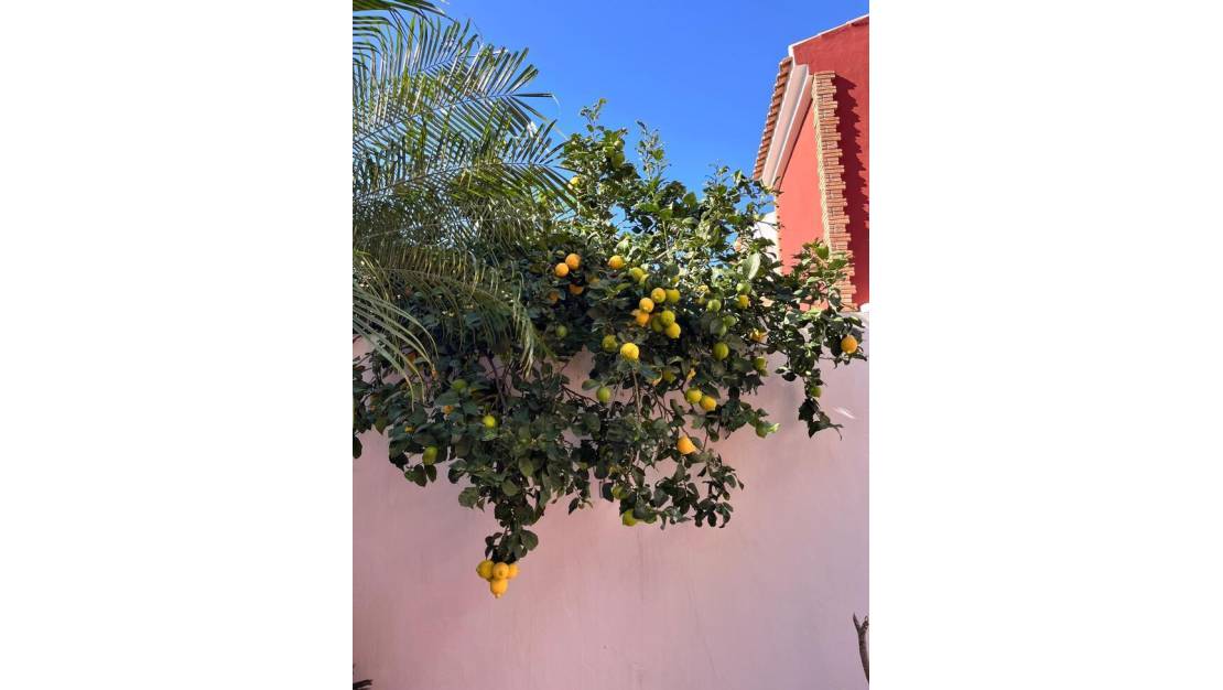 Sale - Villa - Pilar de la Horadada - Torre de la Horadada