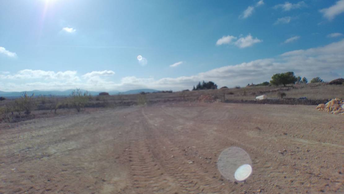 Sale - Villa - Pinoso - Pinoso Centro