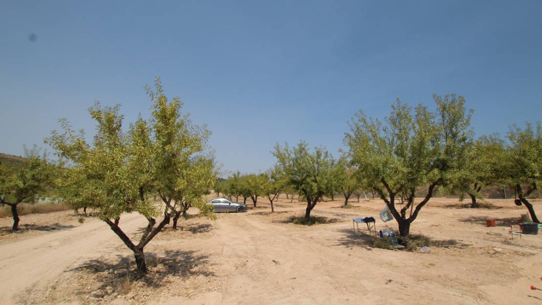 Sale - Villa - Pinoso - Pinoso Centro