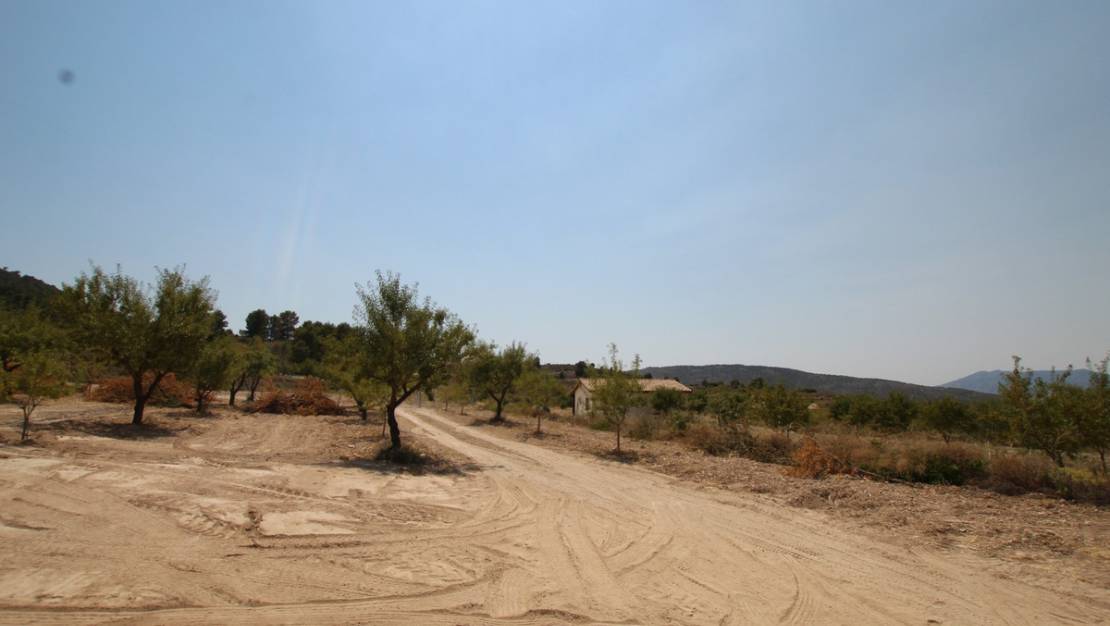 Sale - Villa - Pinoso - Pinoso Centro