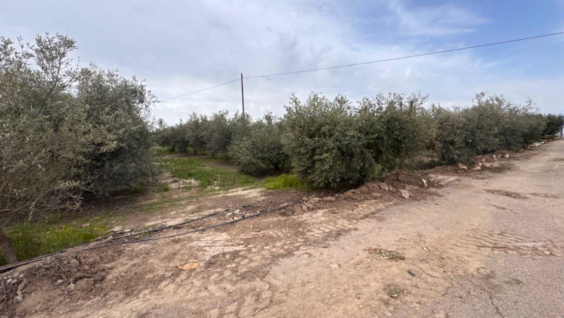 Sale - Villa - Puerto Lumbreras - Esparragal de Puerto Lumbreras