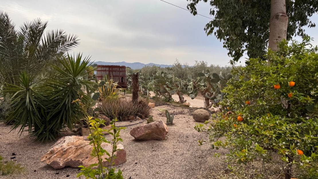 Sale - Villa - Puerto Lumbreras - Esparragal de Puerto Lumbreras