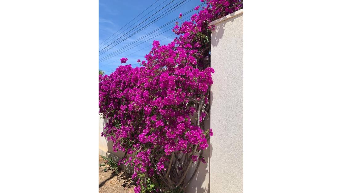 Sale - Villa - Rojales - Ciudad Quesada