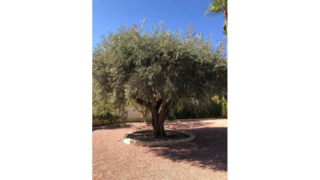 Sale - Villa - Rojales - Ciudad Quesada