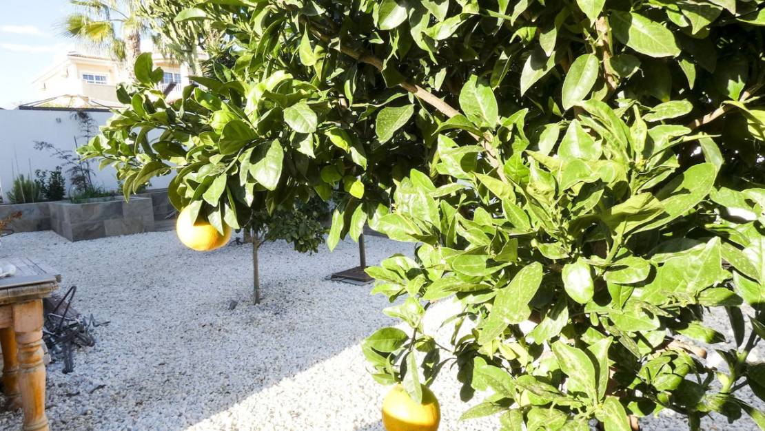 Sale - Villa - Rojales - Ciudad Quesada