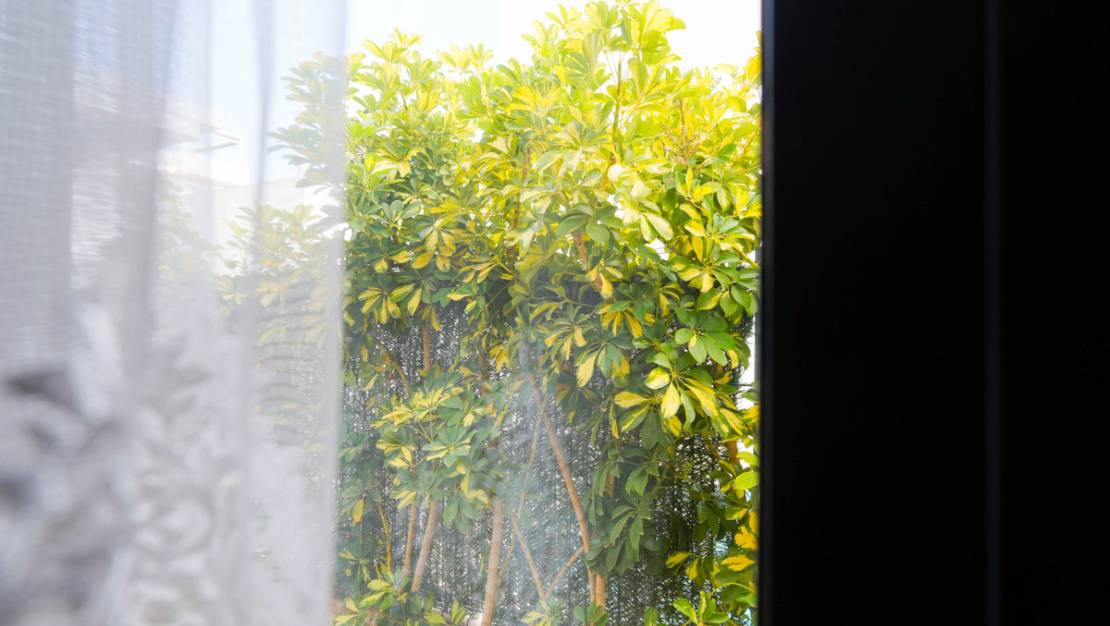 Sale - Villa - Rojales - Ciudad Quesada