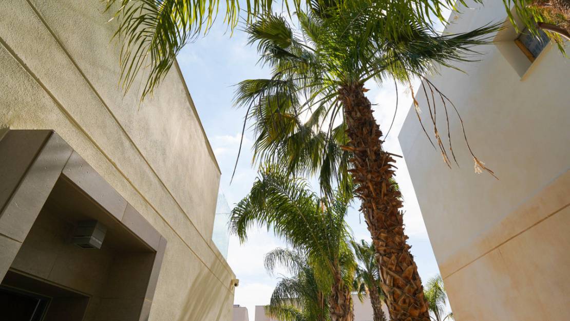 Sale - Villa - Rojales - Ciudad Quesada