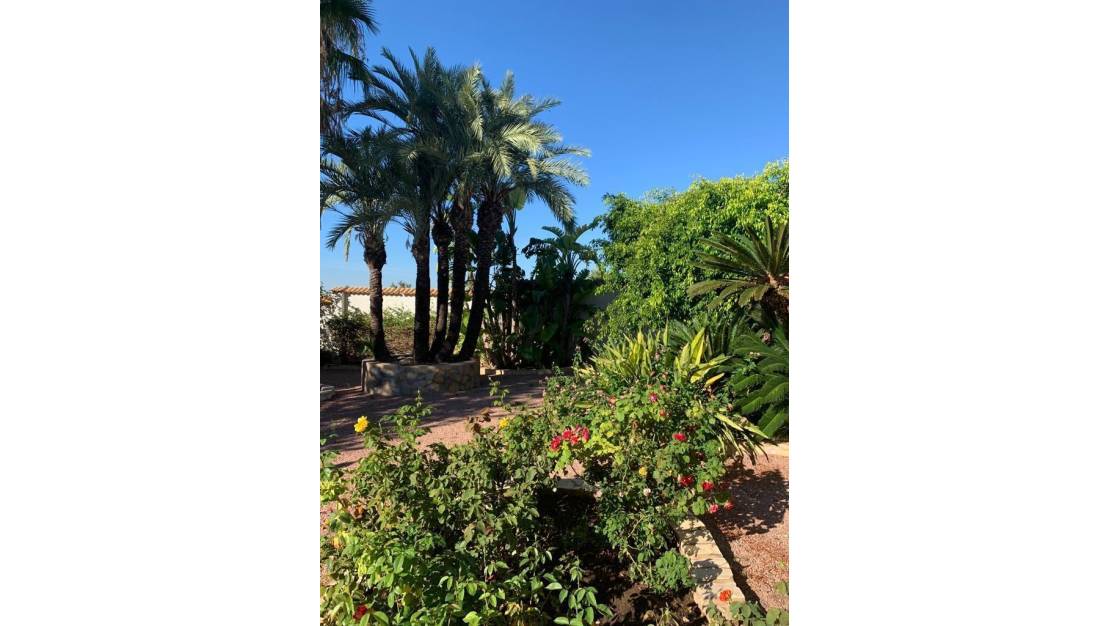 Sale - Villa - Rojales - Ciudad Quesada