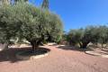 Sale - Villa - Rojales - Ciudad Quesada